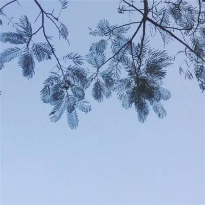 九游究极数码进化手游下载